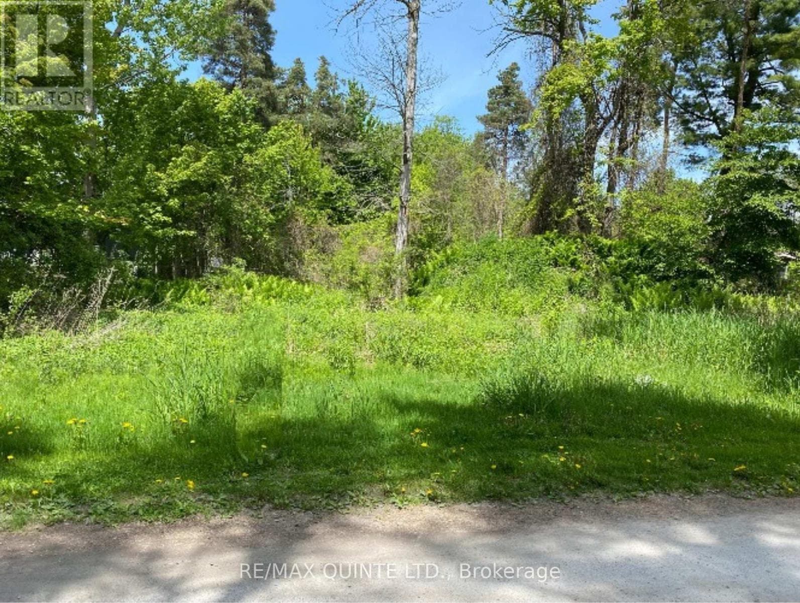 149 Evergreen Lane