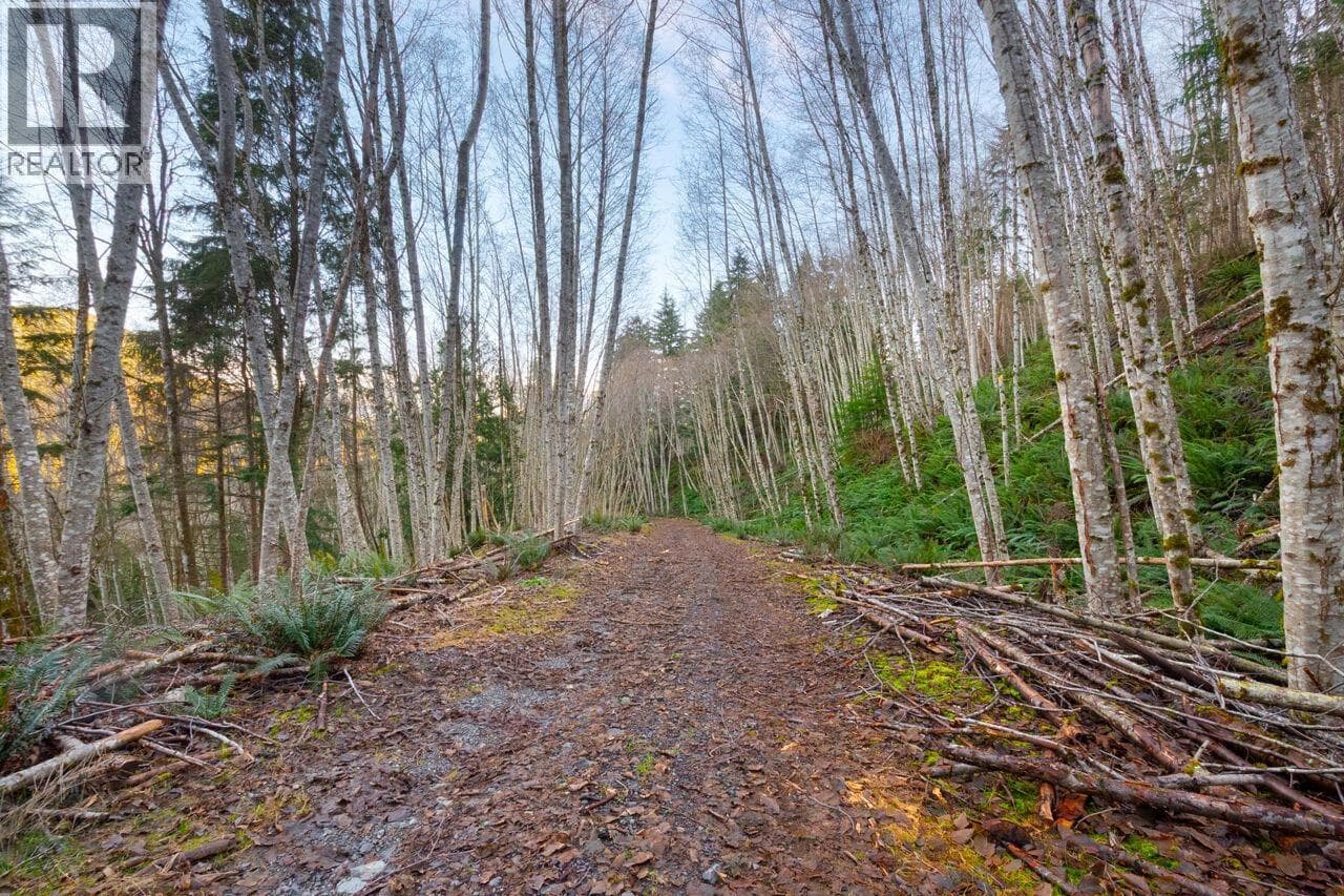 Vacant Land at 1049 GRAFTON Road, Bowen Island, British Columbia - Photo 6 - RE/MAX Garden City Realty