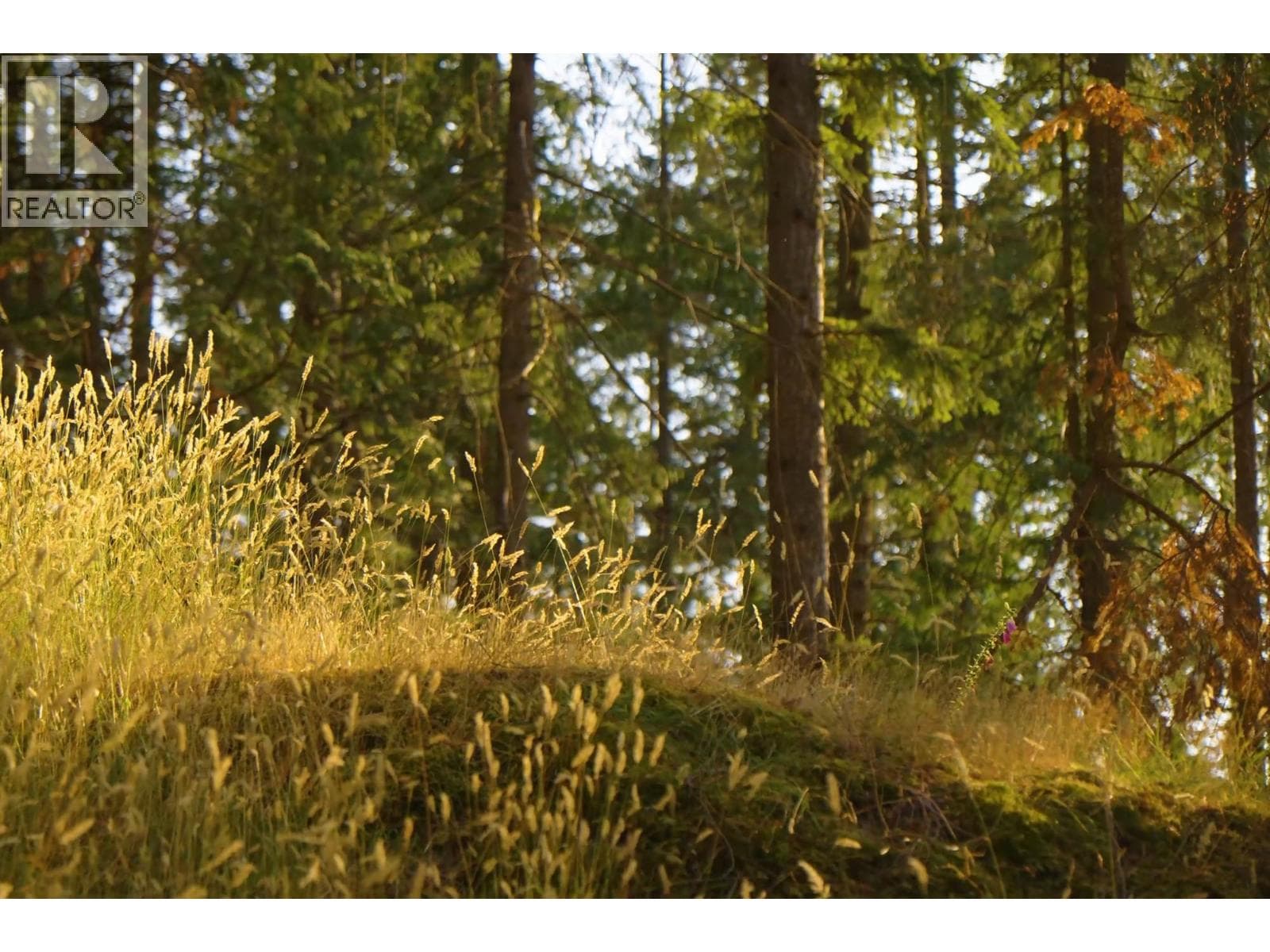 Vacant Land at 786 HAYES Road, Bowen Island, British Columbia - Photo 3 - RE/MAX Garden City Realty