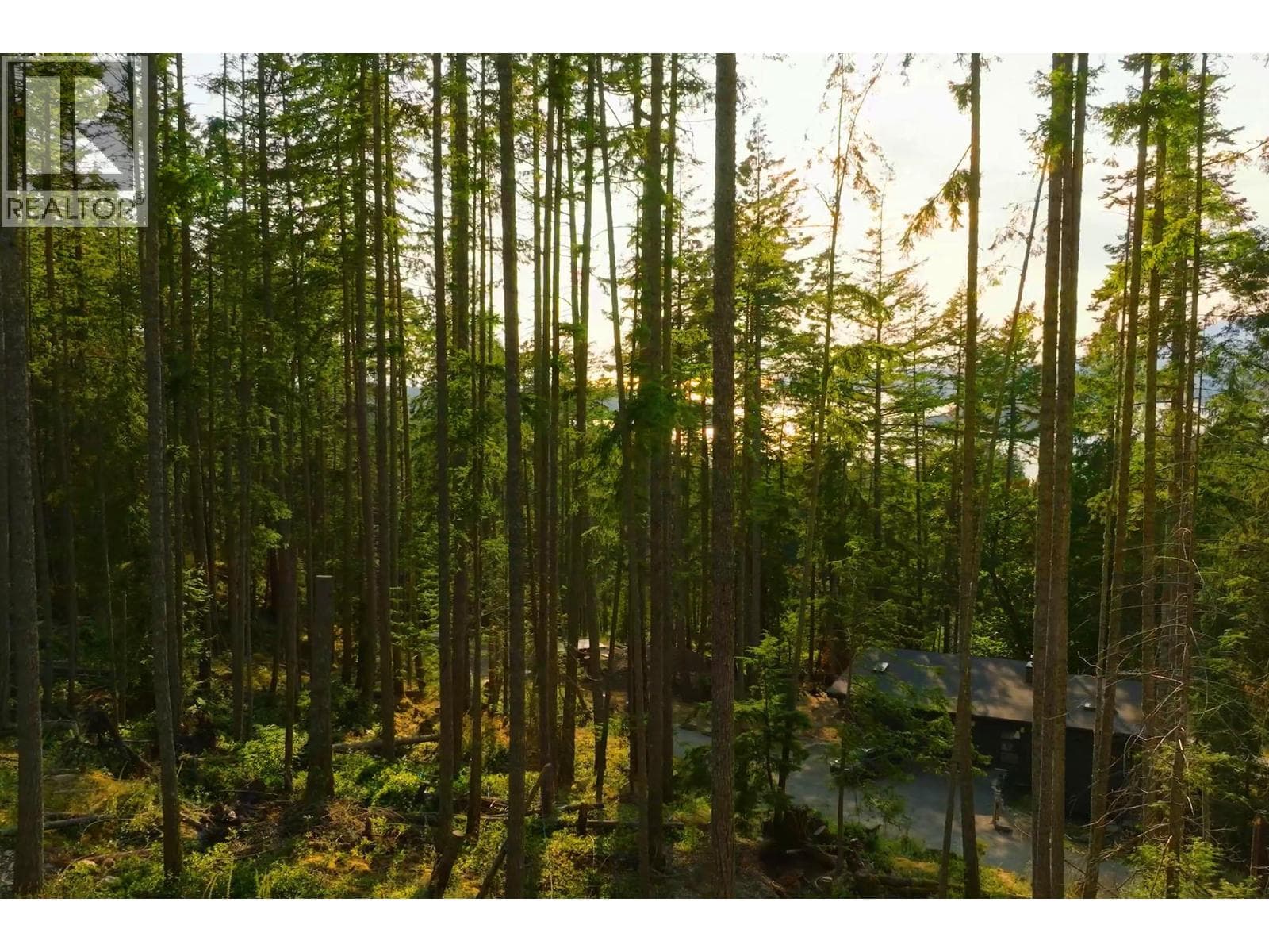 Vacant Land at 786 HAYES Road, Bowen Island, British Columbia - Photo 6 - RE/MAX Garden City Realty