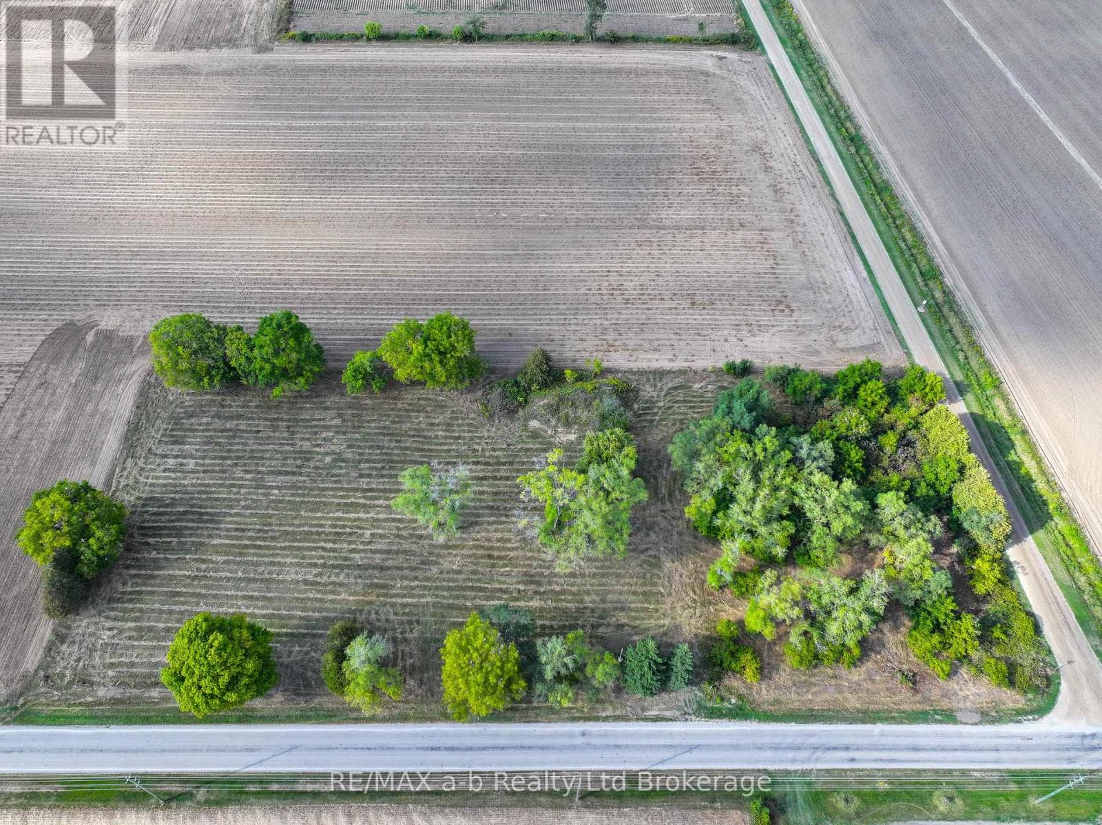 Vacant Land at 188 12TH CONCESSION Road, Brant (Brantford Twp), Ontario - Photo 3 - RE/MAX Garden City Realty