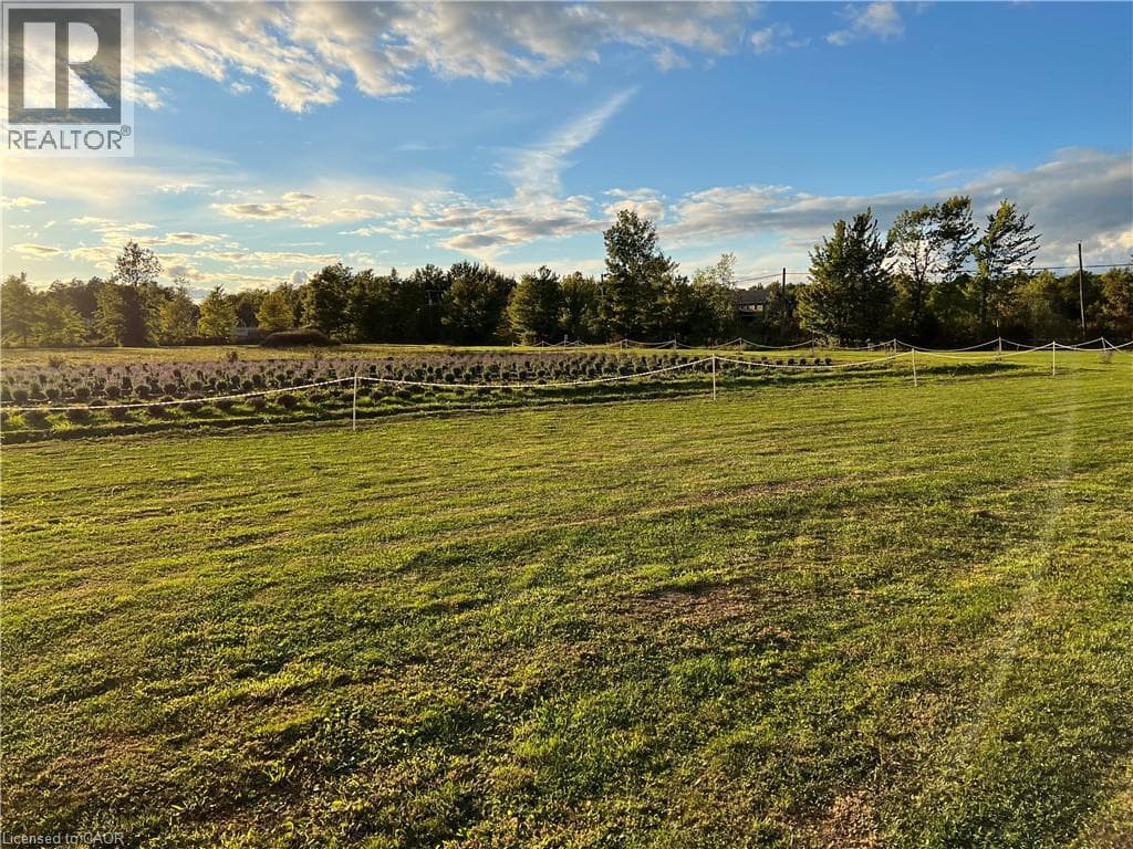 Vacant Land at 3359 THIRD CONCESSION Road, Port Colborne, Ontario - Photo 2 - RE/MAX Garden City Realty