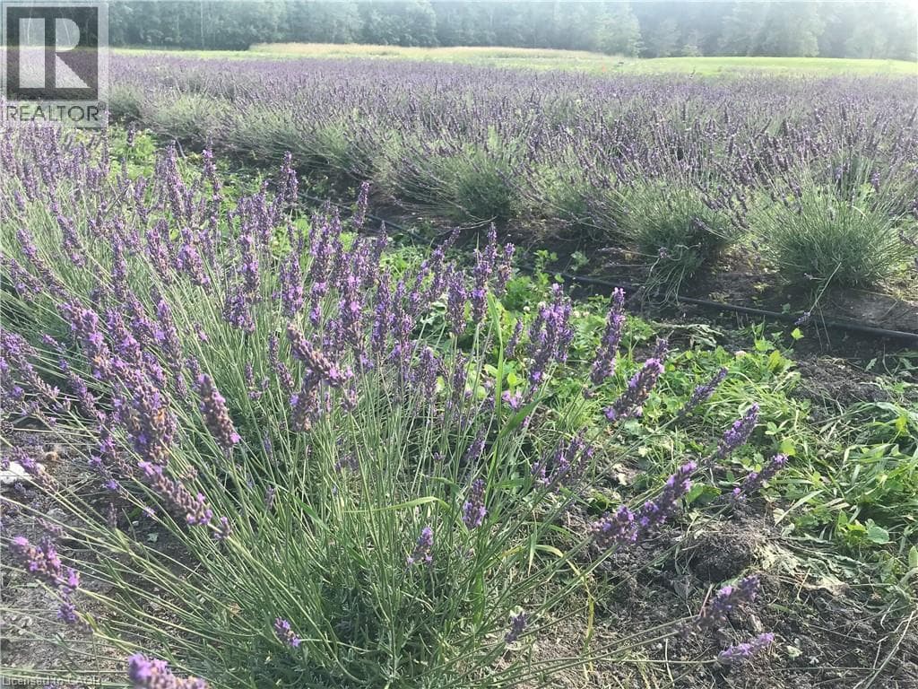 Vacant Land at 3359 THIRD CONCESSION Road, Port Colborne, Ontario - Photo 5 - RE/MAX Garden City Realty