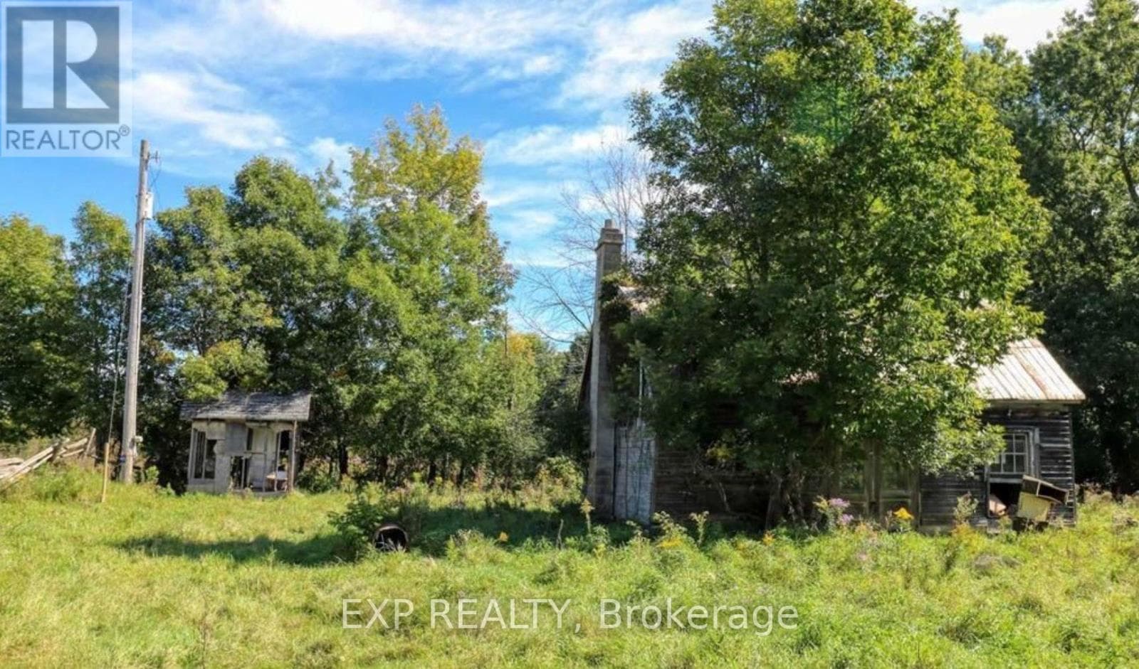 Agriculture at 1049 SANDRINGHAM Road, Kawartha Lakes (Eldon), Ontario - Photo 4 - RE/MAX Garden City Realty