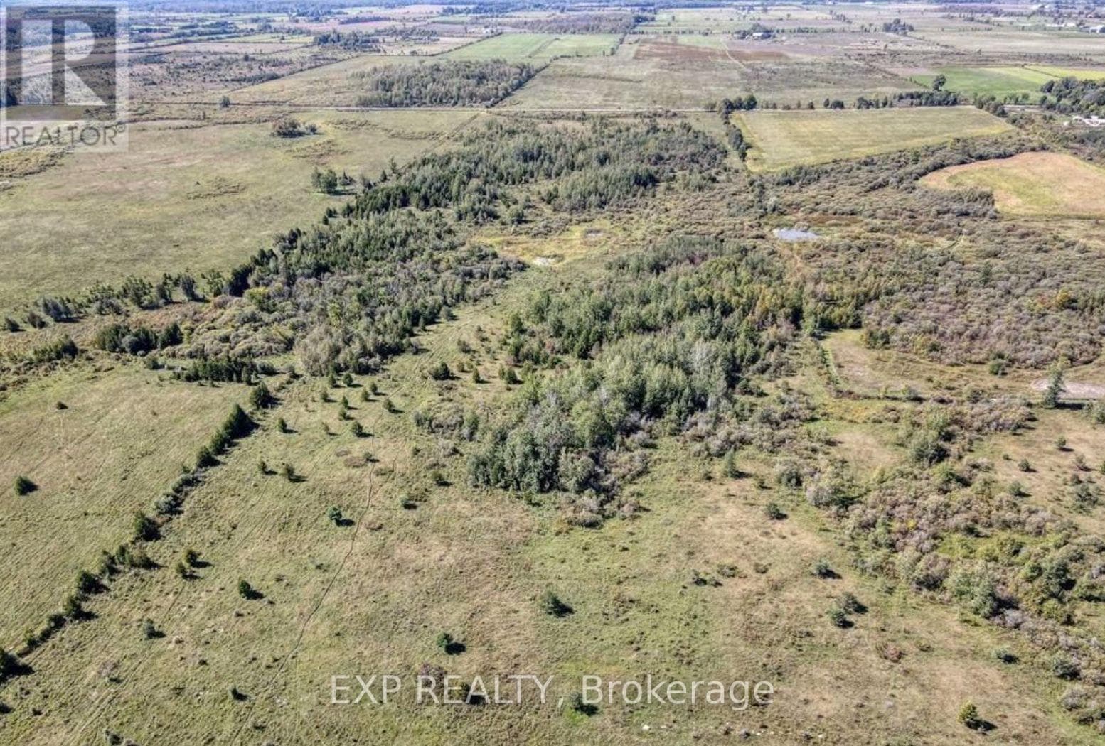 Agriculture at 1049 SANDRINGHAM Road, Kawartha Lakes (Eldon), Ontario - Photo 5 - RE/MAX Garden City Realty