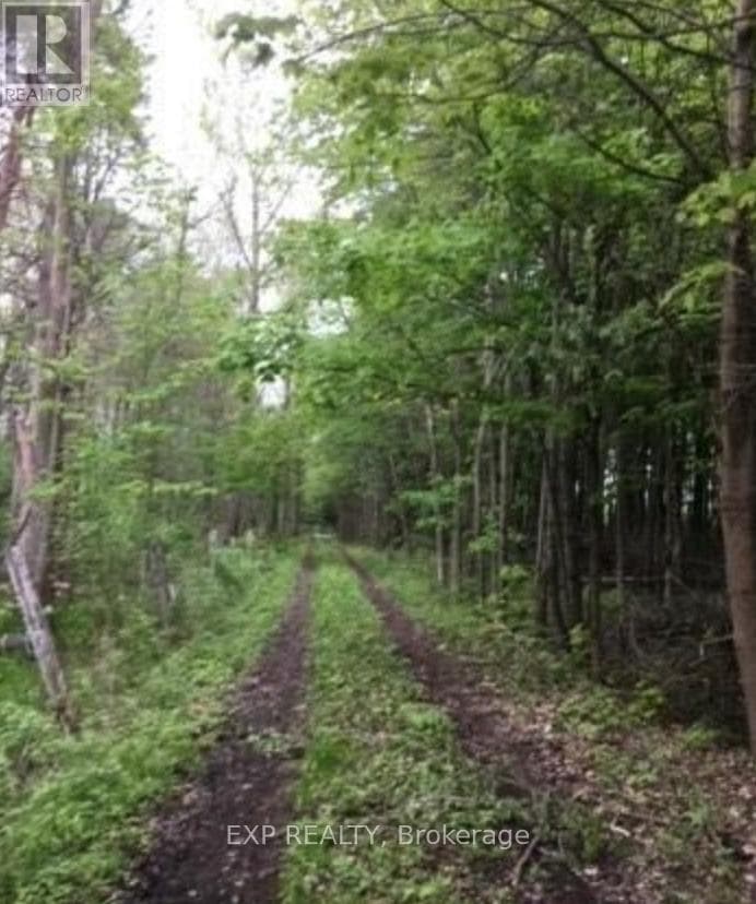 Agriculture at 1049 SANDRINGHAM Road, Kawartha Lakes (Eldon), Ontario - Photo 6 - RE/MAX Garden City Realty