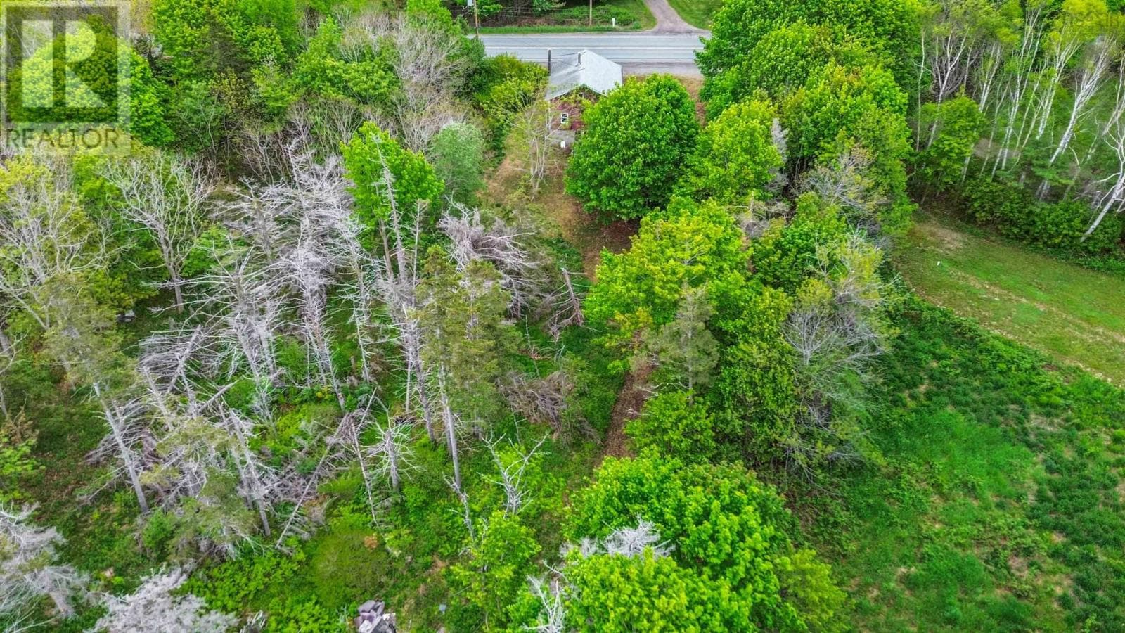 Vacant Land at , Brighton, Nova Scotia - Photo 5 - RE/MAX Garden City Realty