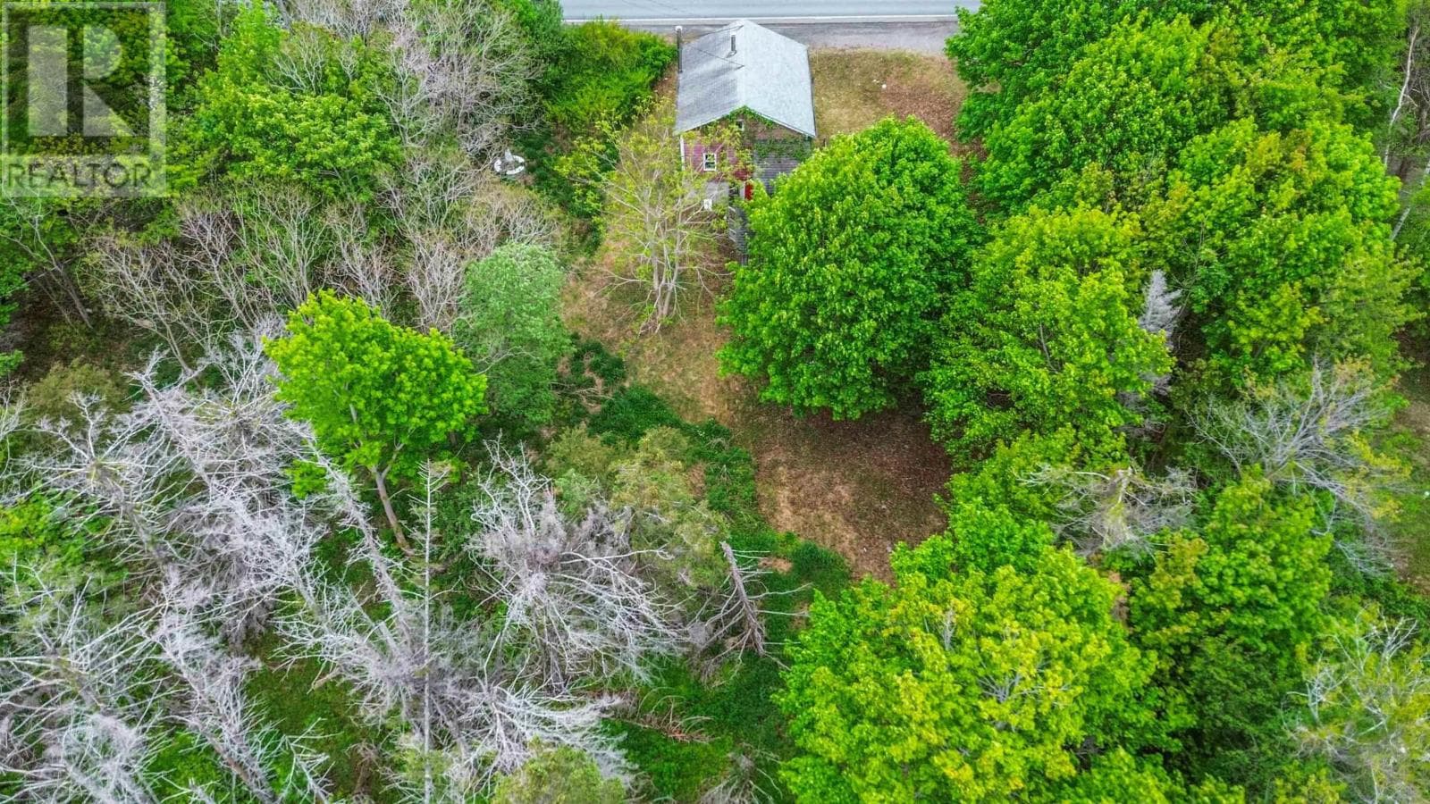 Vacant Land at , Brighton, Nova Scotia - Photo 4 - RE/MAX Garden City Realty