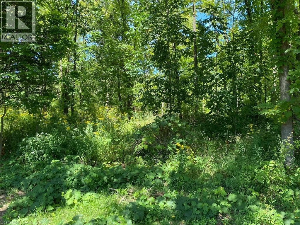 Vacant Land at 3 EFFINGHAM Street, Pelham, Ontario - Photo 8 - RE/MAX Garden City Realty