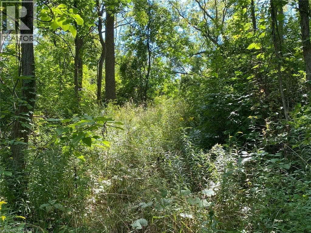 Vacant Land at 3 EFFINGHAM Street, Pelham, Ontario - Photo 2 - RE/MAX Garden City Realty
