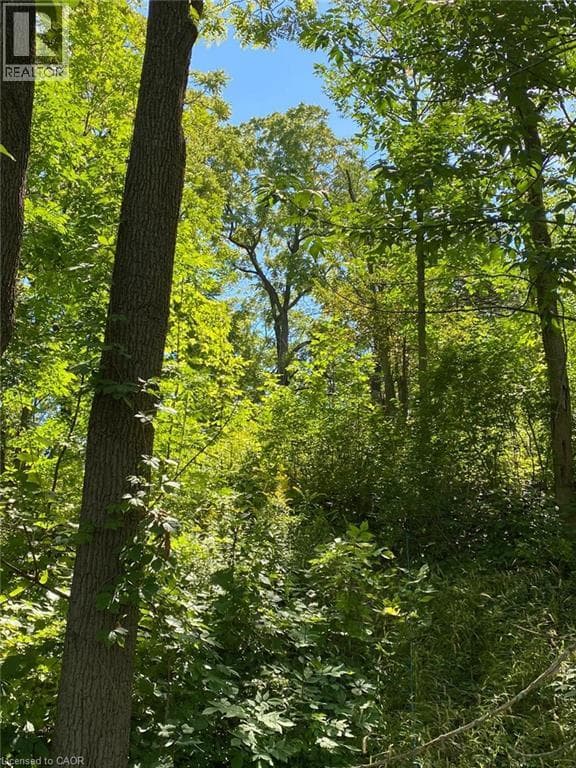 Vacant Land at 3 EFFINGHAM Street, Pelham, Ontario - Photo 6 - RE/MAX Garden City Realty