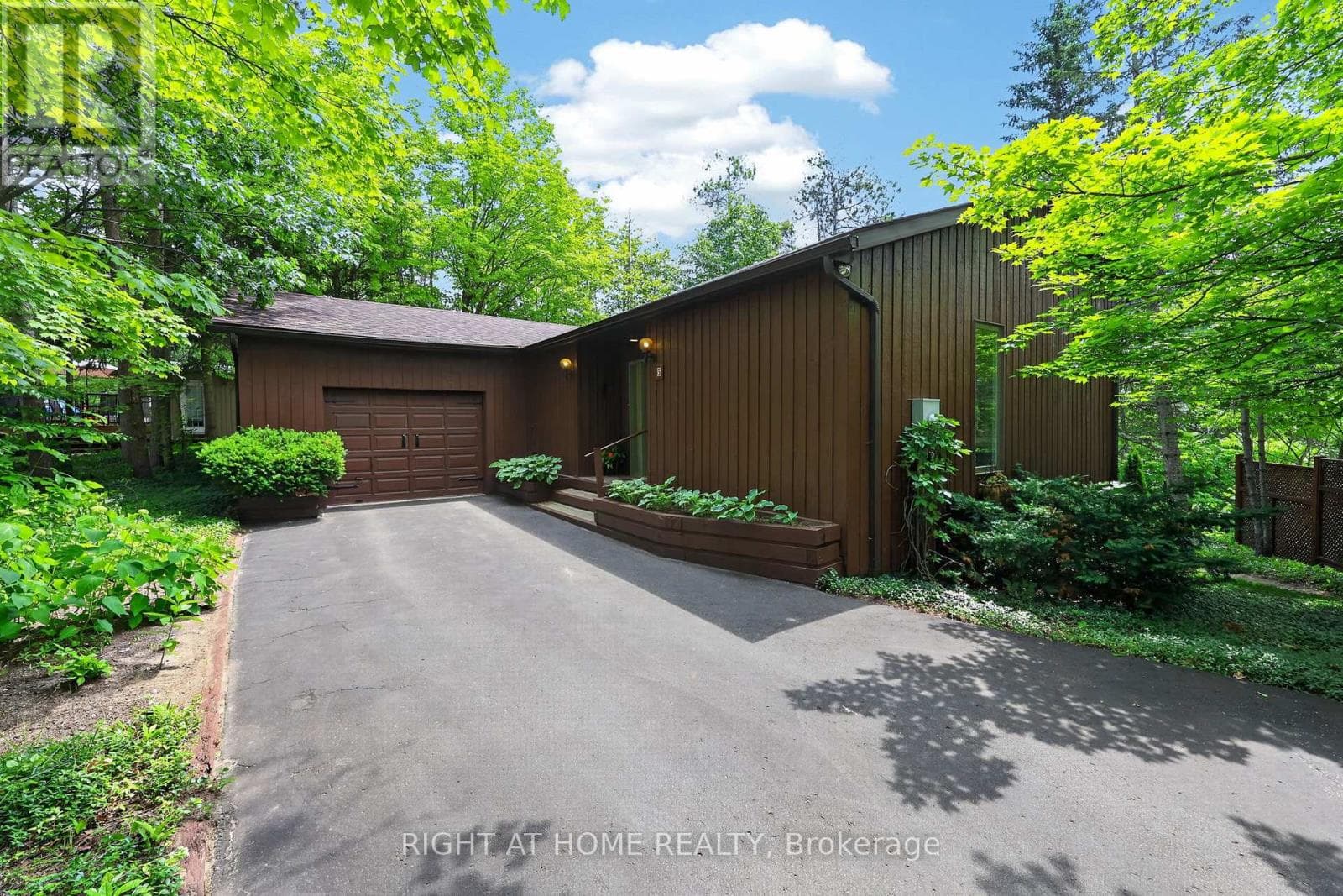 5 Pine Point