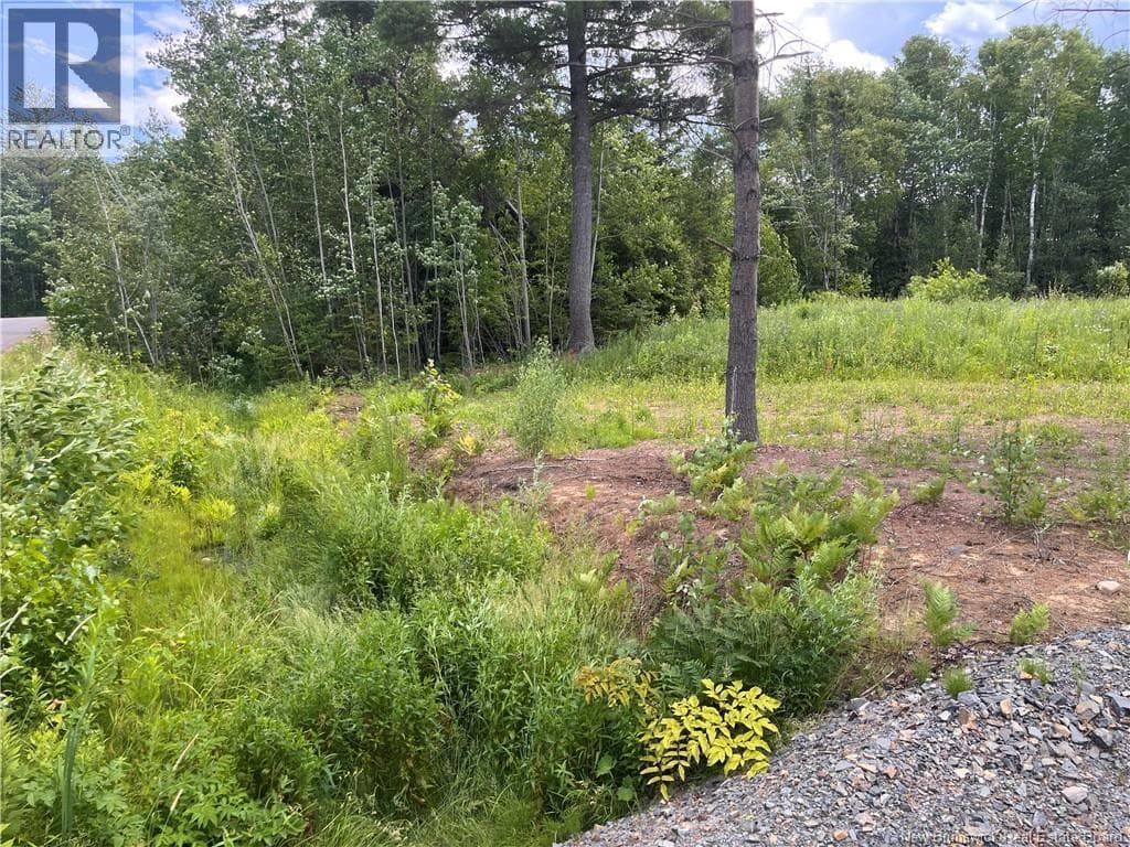 Vacant Land at , Lincoln, New Brunswick - Photo 4 - RE/MAX Garden City Realty