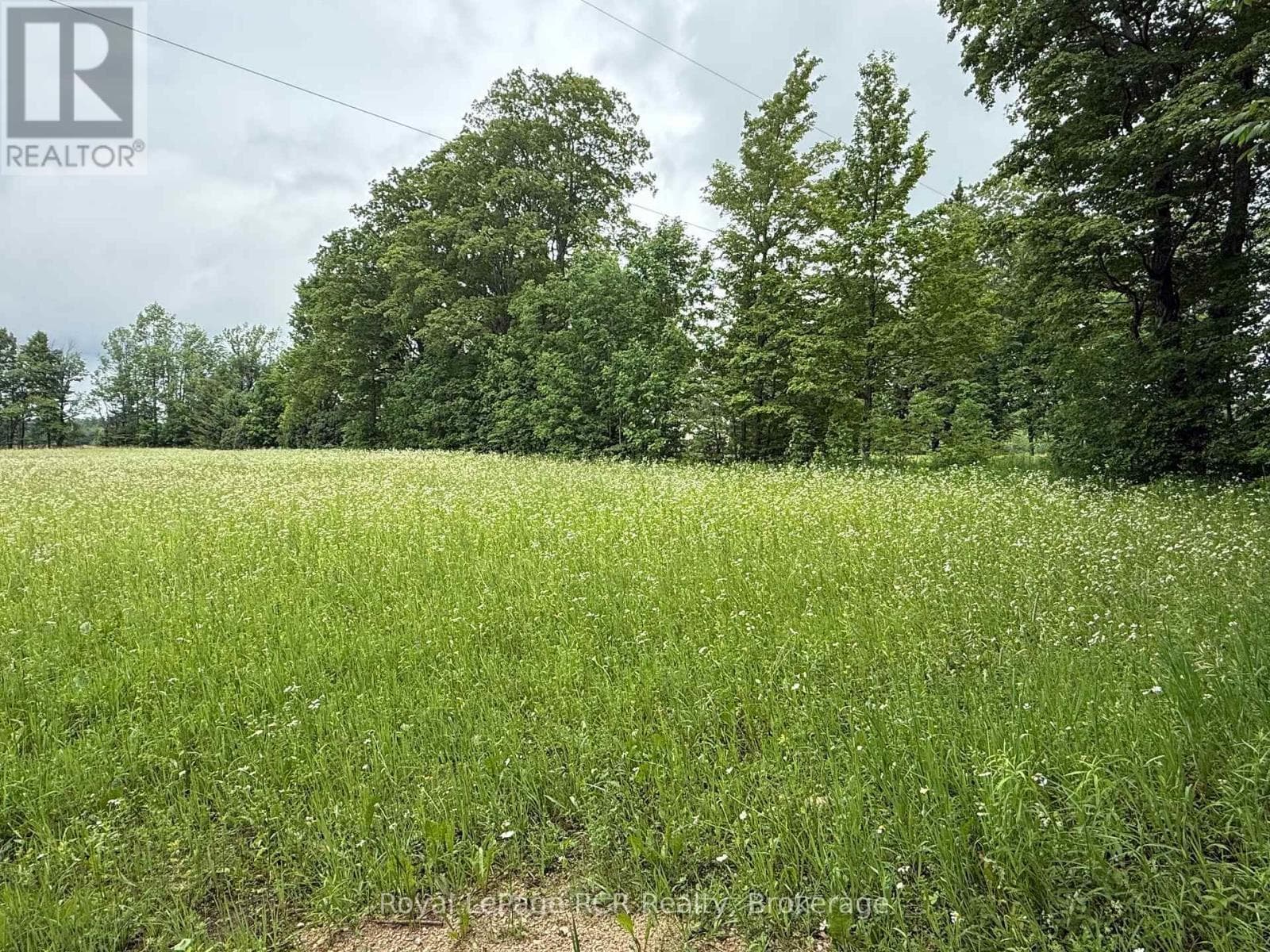 Vacant Land at Lot 2 Part Lot 17 Bells Lake Road, West Grey, Ontario - Photo 3 - RE/MAX Garden City Realty