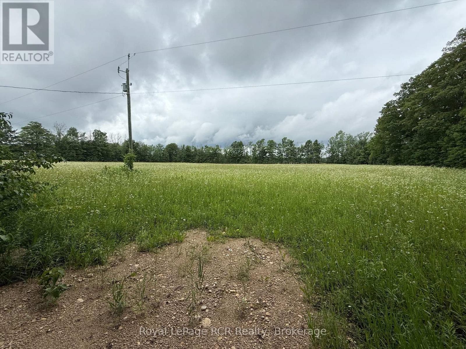 Vacant Land at Lot 2 Part Lot 17 Bells Lake Road, West Grey, Ontario - Photo 4 - RE/MAX Garden City Realty