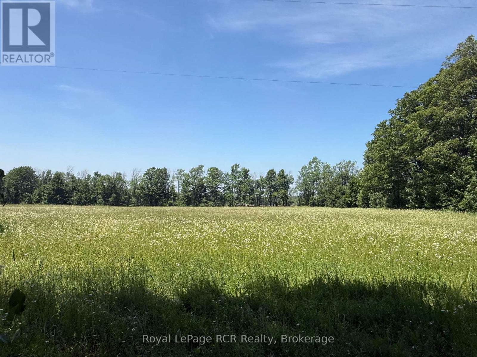 Vacant Land at Lot 2 Part Lot 17 Bells Lake Road, West Grey, Ontario - Photo 7 - RE/MAX Garden City Realty