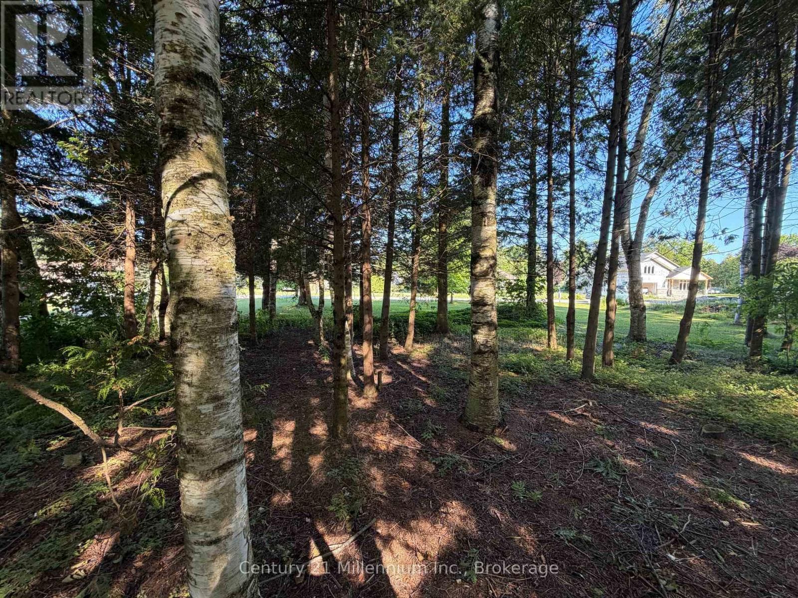 Vacant Land at Kovac Lane, Saugeen Shores, Ontario - Photo 2 - RE/MAX Garden City Realty