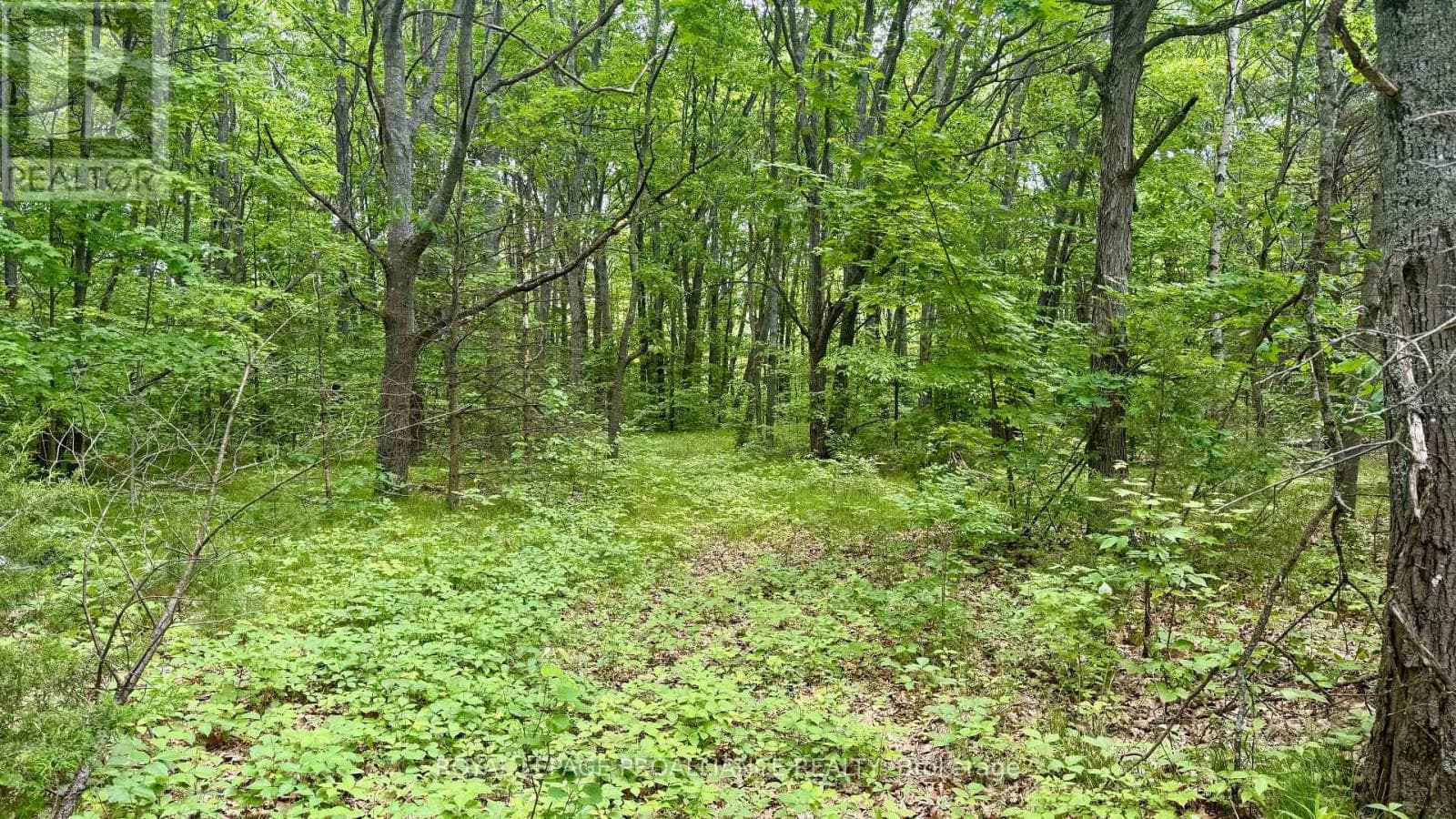 207 Middle Ridge Road