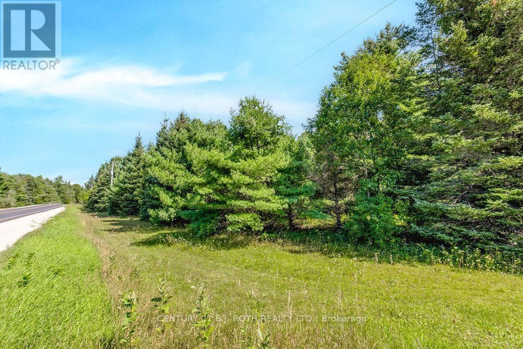 Vacant Land at 1327 Monck Road, Ramara, Ontario - Photo 10 - RE/MAX Garden City Realty