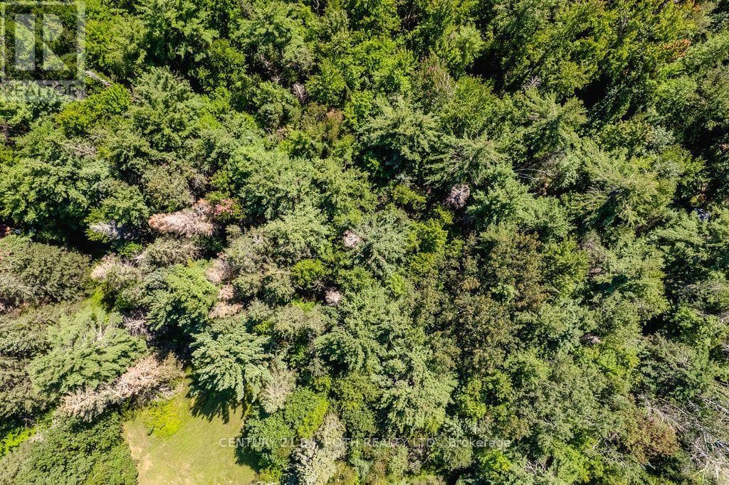 Vacant Land at 1327 Monck Road, Ramara, Ontario - Photo 6 - RE/MAX Garden City Realty
