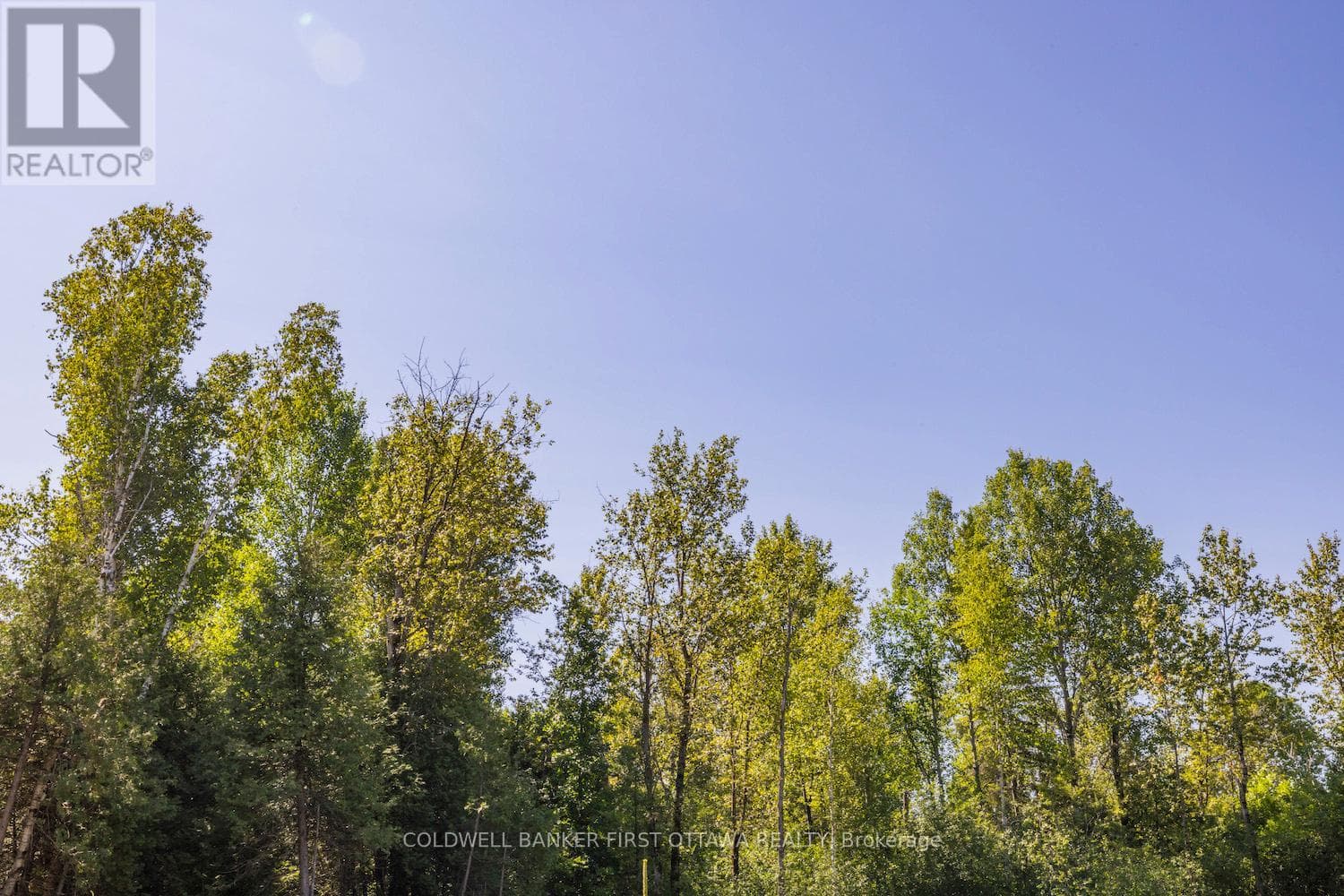 Vacant Land at 0 Forbes Road, North Grenville, Ontario - Photo 10 - RE/MAX Garden City Realty
