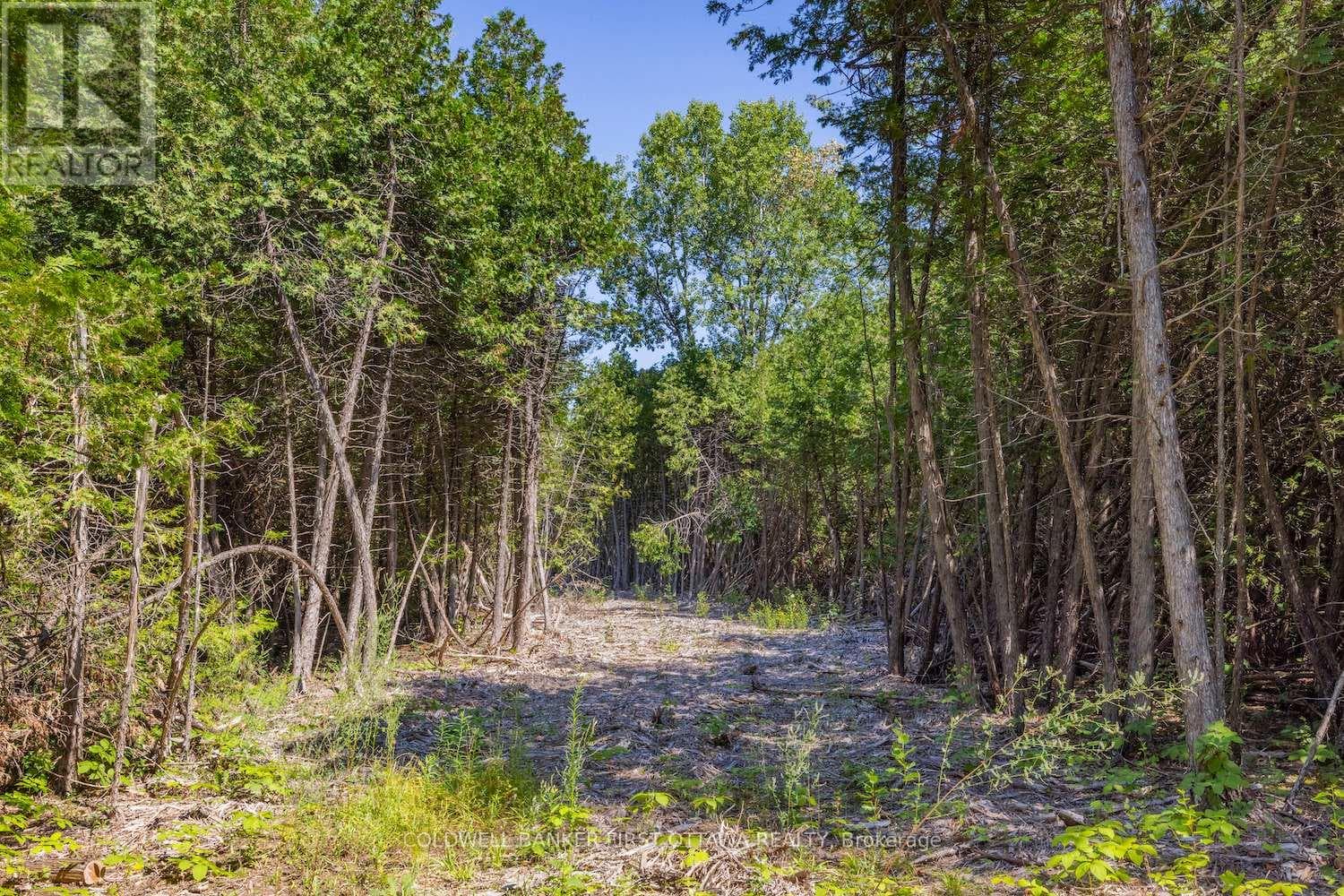 Vacant Land at 0 Forbes Road, North Grenville, Ontario - Photo 2 - RE/MAX Garden City Realty