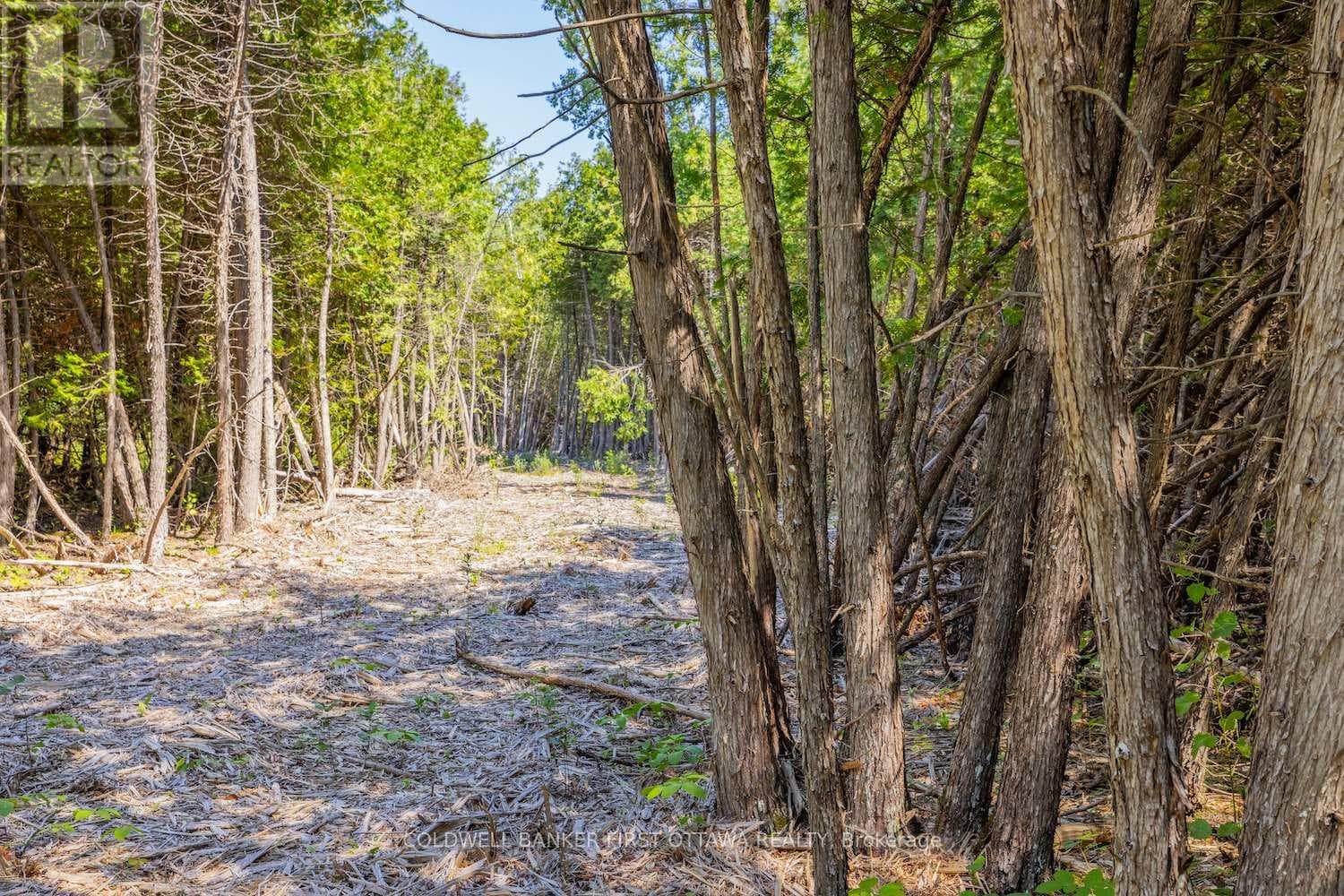 Vacant Land at 0 Forbes Road, North Grenville, Ontario - Photo 4 - RE/MAX Garden City Realty