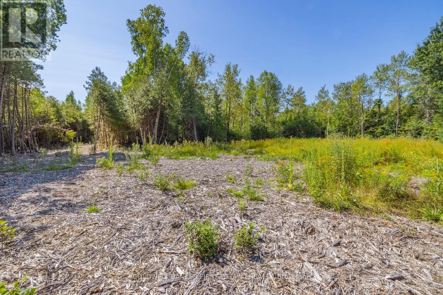 Vacant Land at 0 Forbes Road, North Grenville, Ontario - Photo 9 - RE/MAX Garden City Realty