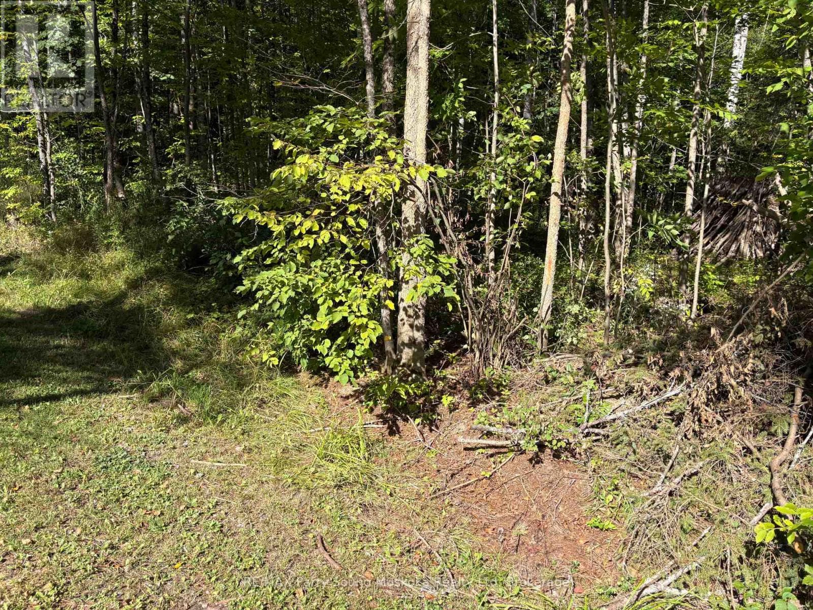 0 Pine Road