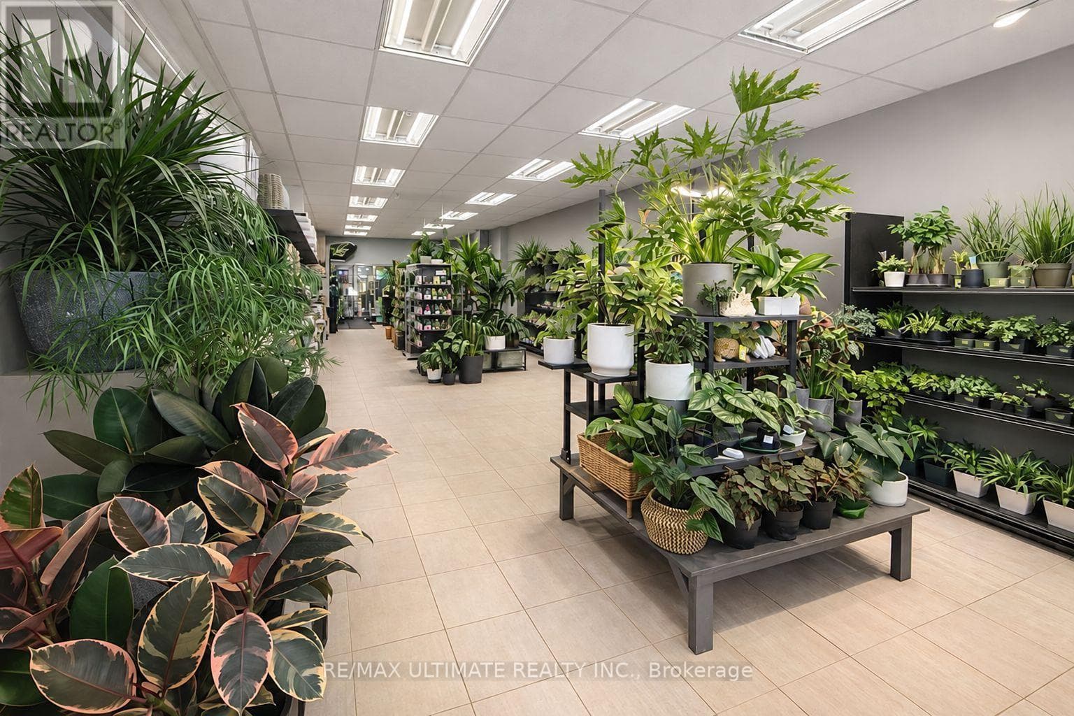 Retail at 1962 Danforth Avenue, Toronto (Danforth), Ontario - Photo 3 - RE/MAX Garden City Realty