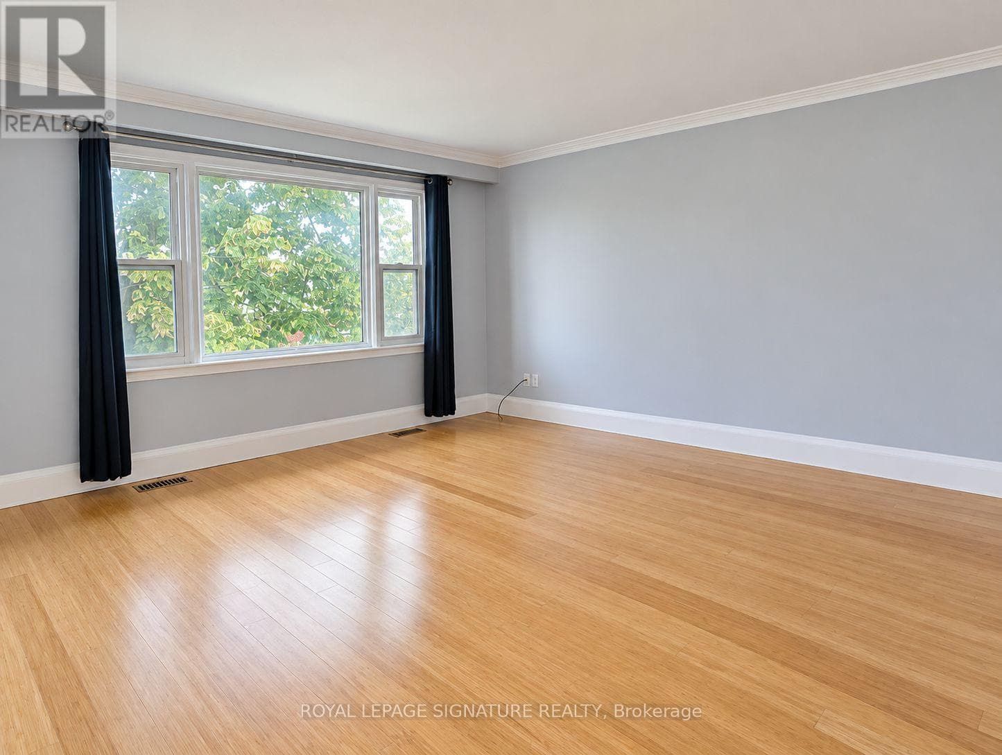 3- 13 Wesley Street