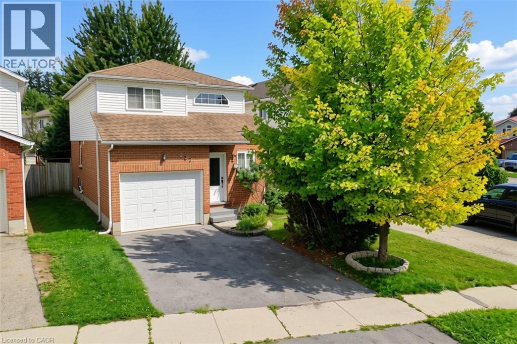 237 GREY FOX Drive