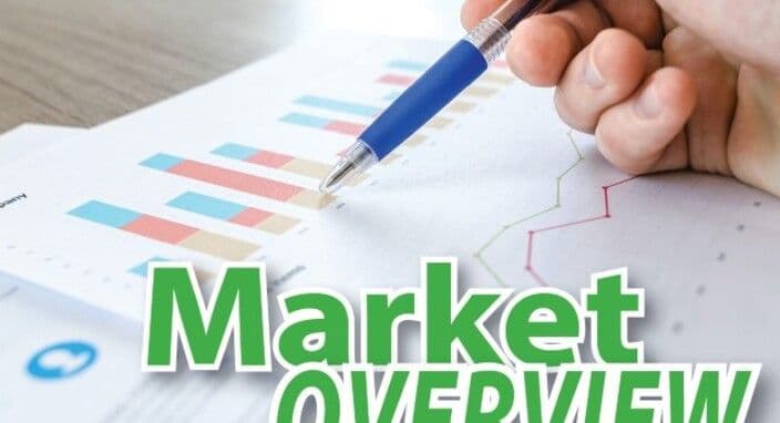 December 2023 - Market Update - No Significant Shift As Year End Approaches