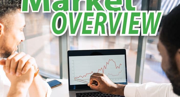 January 2025 - Market Watch - Market Overview - A Soft Landing