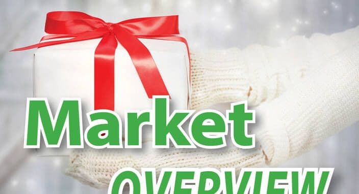 Market Overview - December 2020