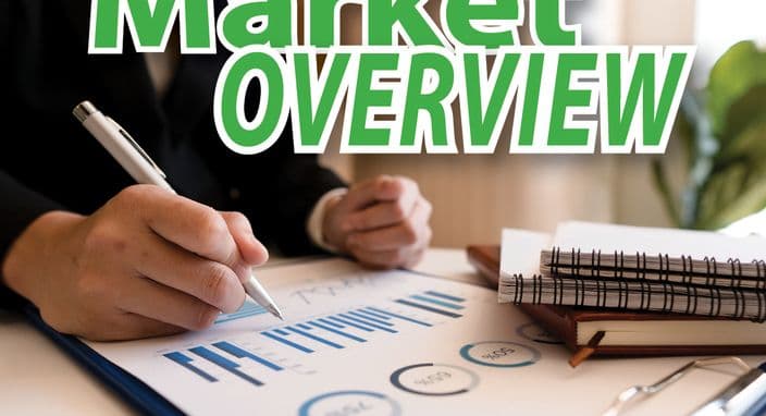 February 2023 - Market Overview - A Silver Lining