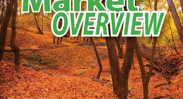 November 2021 - Market Overview - MARKET REMAINS REMARKABLY STRONG IN OCTOBER