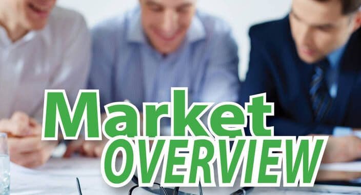 June 2021 - Market Overview -Momentum Eases Slightly in May - Market Watch