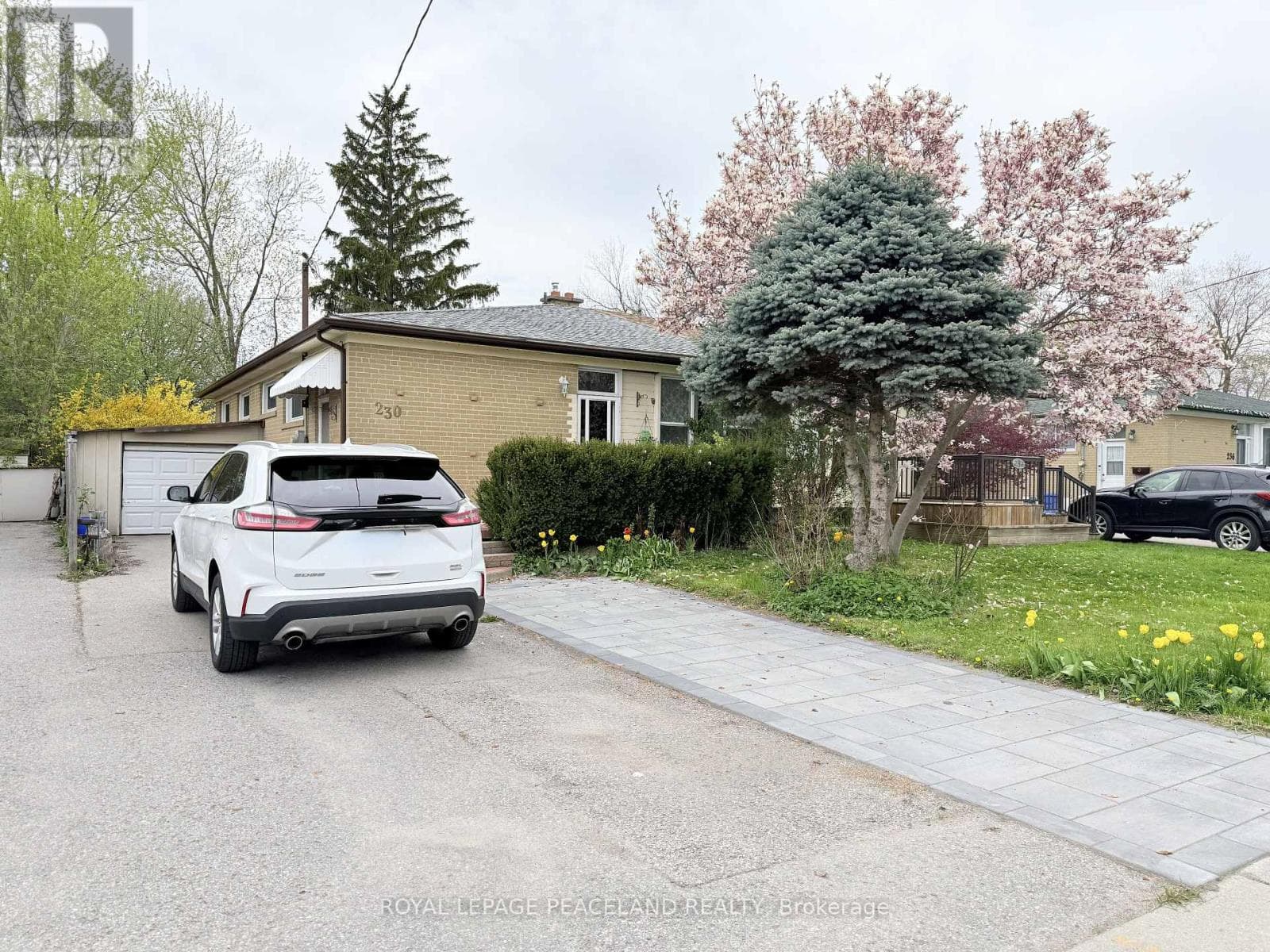 Basement- 230 Axminster Drive